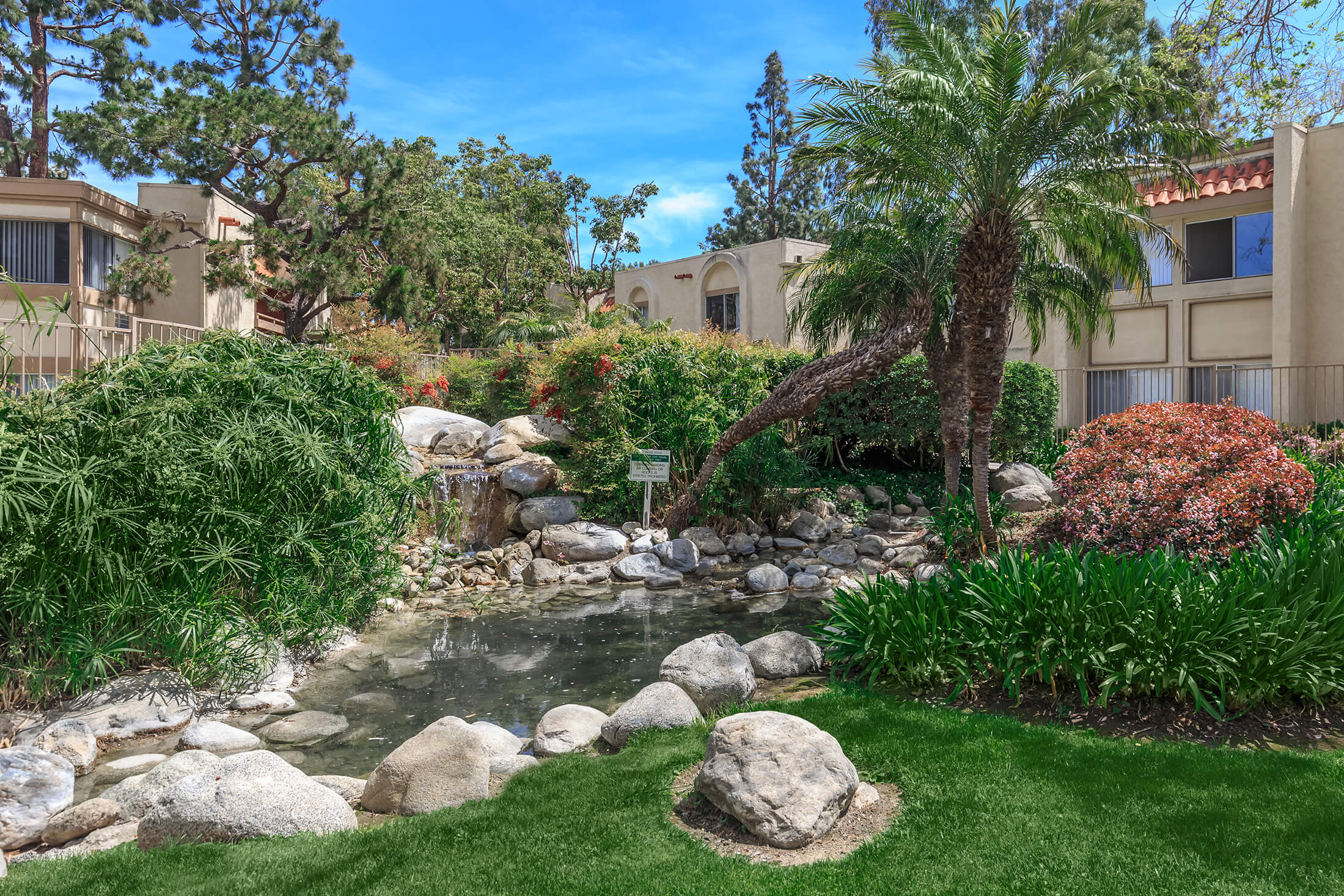 Small water feature and grassy area